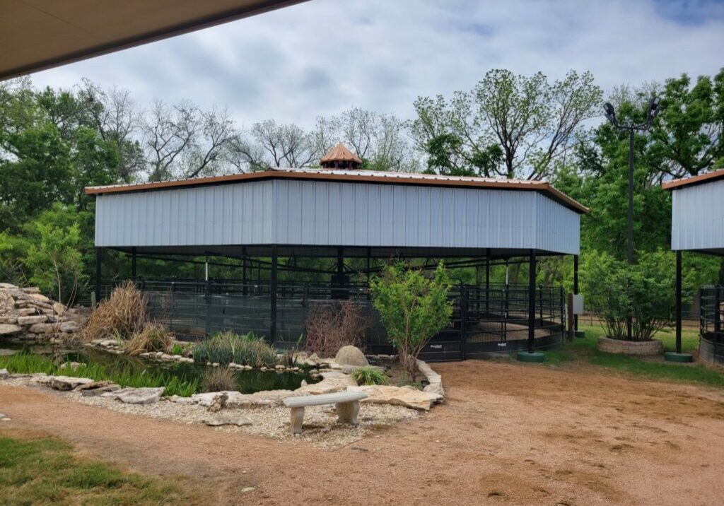 Loafing arena2